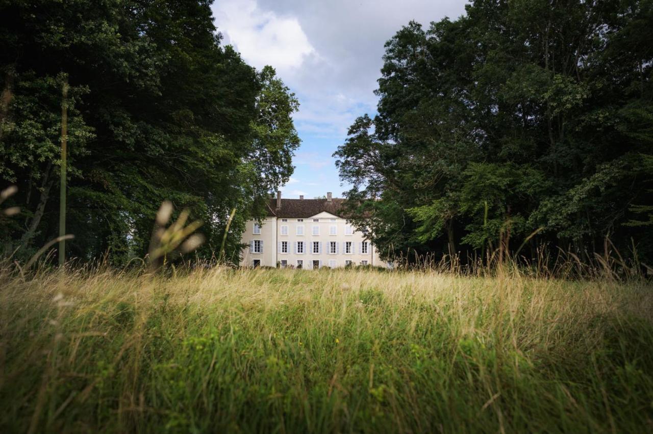 Chateau Armand Heitz - Domaine Armand Heitz Chaudenay Eksteriør billede
